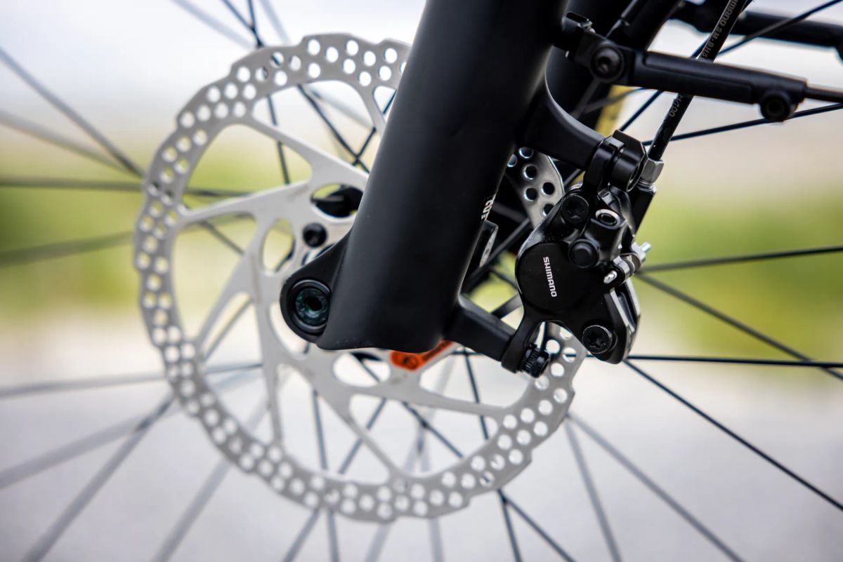 Galerie Bild